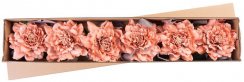 MagicHome Blume, Pfingstrose, mit Band, Aprikose, Stiel, Blütengröße: 17 cm, Blütenlänge: 37 cm, Packung. 6 Stk