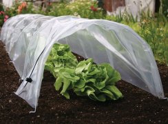 Parenisko Strend Pro Greenhouse, mini fóliovník, 55x600x40 cm