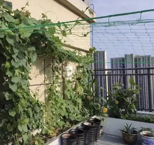 Sieť na podporu rastlín 2x10m Gardlov 23978