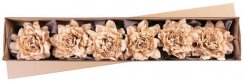 MagicHome Blume, Pfingstrose, mit Band, Ocker, Stiel, Blütengröße: 17 cm, Blütenlänge: 37 cm, Packung. 6 Stk