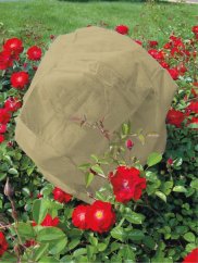 Strend Pro-Abdeckung, 30 g, beige, schützend, gegen Frost, Vliesstoff, 80 x 75 cm, 3 Stk (akce)
