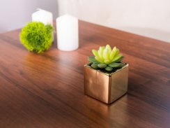 Succulent MagicHome SA3905, 15 cm, oala-ceramica, auriu