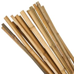Rutengarten KBT 1800/16-18 mm, Pack. 10 Stück, Bambus, Stützpflanzen