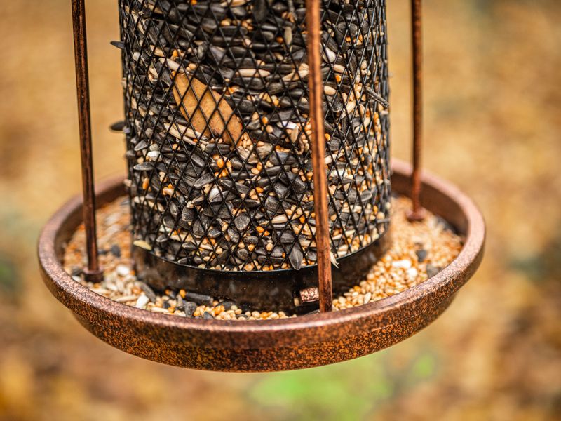 Futterspender Strend Pro, für Vögel, 32x17cm, 950 ml, Kunststoff, Metallgitter