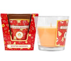 Sviečka vonná WINTER BERRIES 120g v skle
