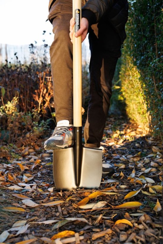 Spaten S5179 spitz, WoodHand, Holzstiel D