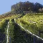 Madárriasztó – 45 m-es Repest 21040 szalag (akció)
