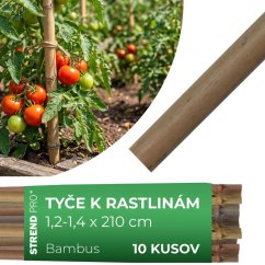 Rutengarten KBT 2100/12-14 mm, Pack. 10 Stück, Bambus, Stützpflanzen (akce)