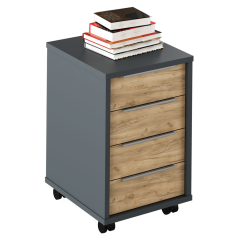 Posoda, grafit/umetniški hrast, RIOMA NEW TYPE 14