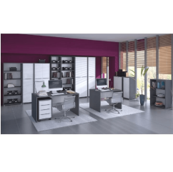 PC-Tisch, Graphit/Weiß, RIOMA NEW TYPE 12 (akce)