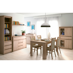Regal 90, Sonoma-Eiche, NORTY TYP 19 (akce)