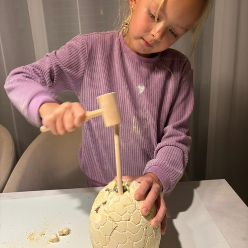 Jaja dinosaura - iskopine 24981 (akce)