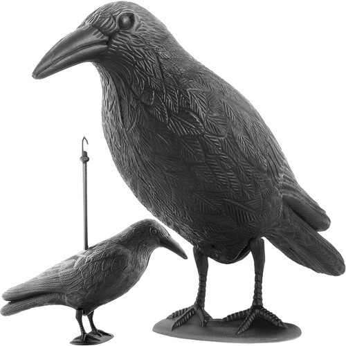 Vogelabwehr - Rabe (akce)